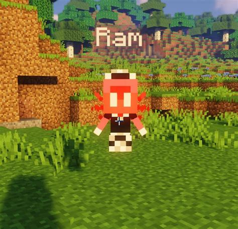 Maid Allay Optifine Minecraft Texture Pack