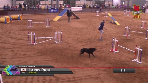 Akc National Agility Championship Hybrid Youtube