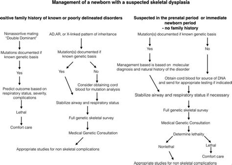 Skeletal Dysplasia Types Genetics Diagnosis Treatment