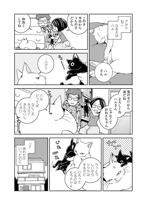 猫の日 と聞いたので 2年ぶり3度目 いや、最近はどちらかといえば、犬寄りのマンガを描いているんですが…