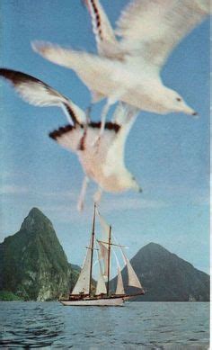 Pin By Charbell On Pins By You In 2024 Photo Sailing Pretty Pictures