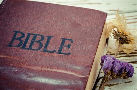 1536 Open Bible Flower Stock Photos Free And Royalty Free Stock Photos