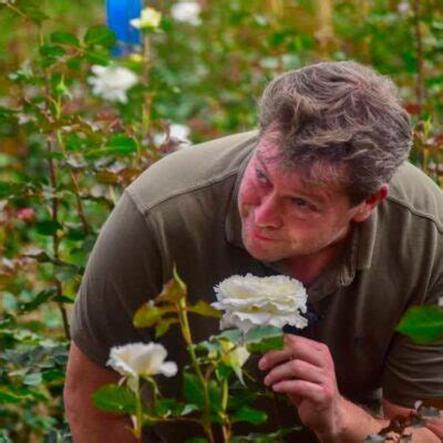 Tambuzi Roses – Stop and Smell the Roses