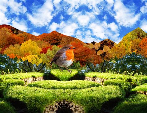 Amazing Nature Wallpaper 3300x2550 56458 Baltana