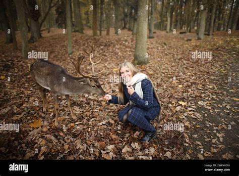 Beautiful Blonde Girl Feeding Deer Girl And Deer Stock Photo Alamy
