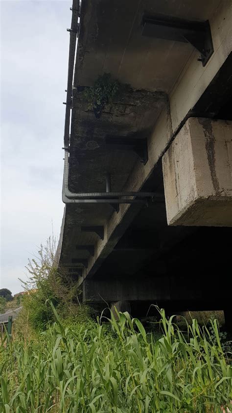 Inarpro Rilievi E Progettazione Risanamento Viadotto Tevere