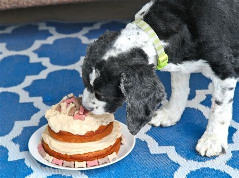 Spoiled Dog Cake Recipe • Love From The Oven