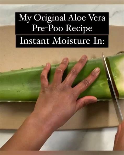 Natural Hair Tutorials On Instagram Aloe Vera Pre Poo Follow