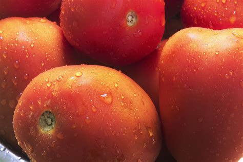 Tomatoes Free Stock Photo Public Domain Pictures