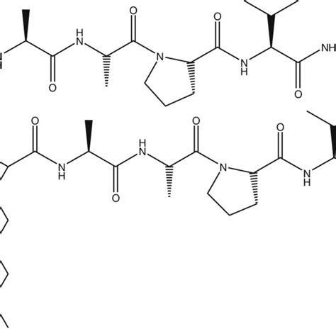 Structures Of Peptides A Tetrapeptide Ac L Ala L Ala L Pro L Val Nh