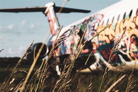 ITAP Of An Abandoned Plane In A Field R Itookapicture