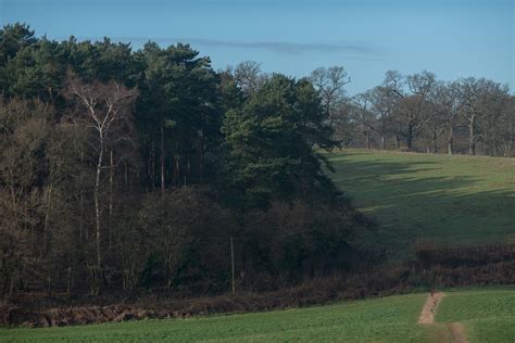 north downs  behance