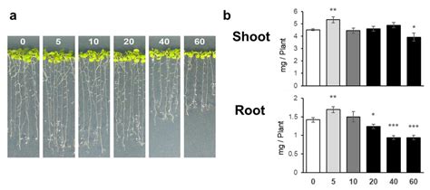 Plants Free Full Text A Low Level Of Nacl Stimulates Plant Growth