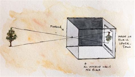 My kids know what a pinhole camera is! » Pamela Anticole, Pittsburgh ...