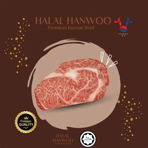 Halal Hanwoo Premium Korean Beef Ribeye 1 Bms 8 9 280gm Shopee