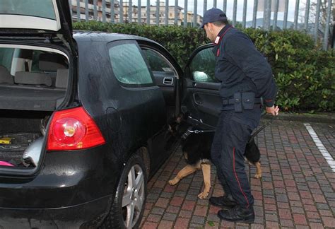 Controlli Anti Droga Con I Cani La Preside Dice Di No