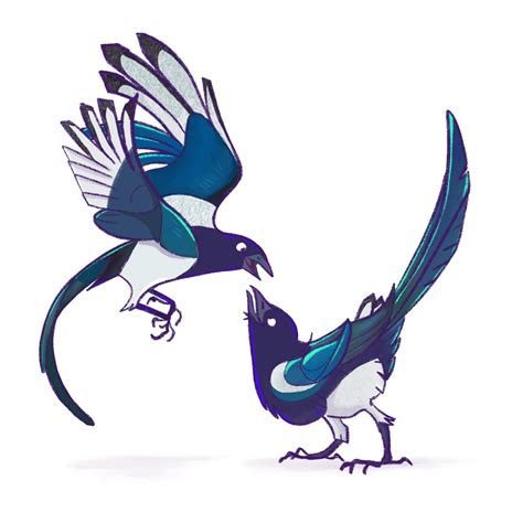 Brrrdcember 2023 - Eurasian Magpie by BingyBongo on DeviantArt