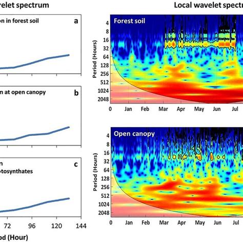 Global Wavelet Power Spectrum And Local Wavelet Spectrum Of Soil