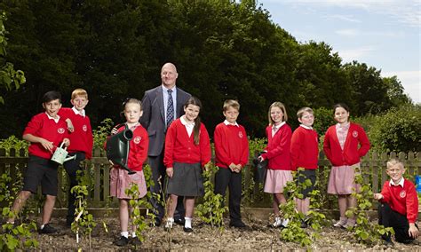 Our Schools — Andover Trees United