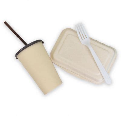 Eco-Friendly Biodegradable Packaging for Foodservice Uses