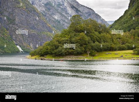 Landscape With Naeroyfjord And High Mountains In Norway Stock Photo Alamy