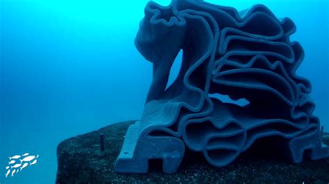 Large Scale 3d Printed Artificial Reefs 3 Years After The Immersion In The Mediterranean Sea