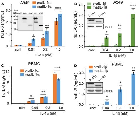 Comparison Of Precursor And Mature Forms Of Il 1α And Il 1β On Il 6