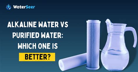 Alkaline Water Vs Purified Water: Which One is Better?