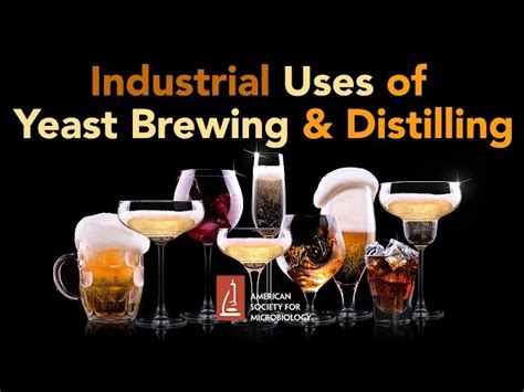 American Society For Microbiology Talk Industrial Uses Of Yeast