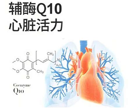 辅酶q10的作用与功效吃辅酶q10的七大好处 普法库网