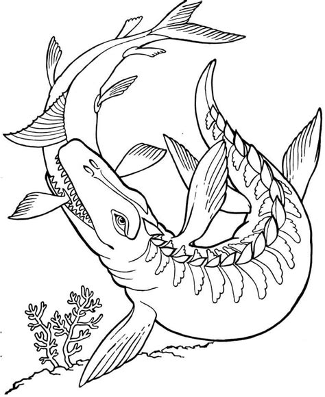 Mosasaurus Hunting Shark Coloring Page Free Printable Coloring Pages