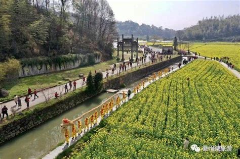 春游江淮请您来 油菜花海引客来 农旅融合促振兴旅游