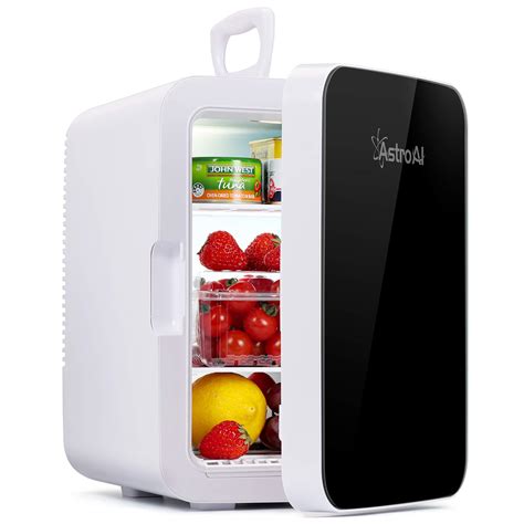 Buy Astroini Fridge 10 Litre 15 Can Portable Cooler Warmer AC DC