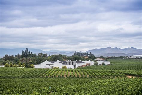 Bon Courage Wine Estate Our Wineries Abs Wine Agencies