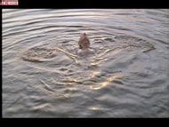 Naked Marina Yakovleva In Gypsy Happiness