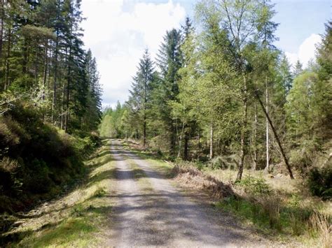 Logging Road Loch Ard Forest Richard Webb Cc By Sa Geograph