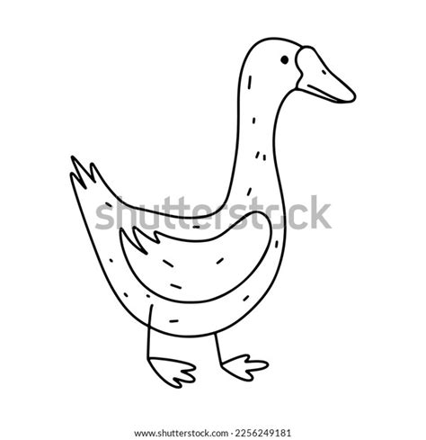 Goose Poultry Hand Drawn Doodle Style Stock Vector Royalty Free