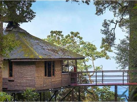 Wonderful Tree House In Munnar Munnar Hosted By Mobin MU1617