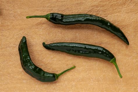 All About the Versatile Chilaca Pepper - Minneopa Orchards