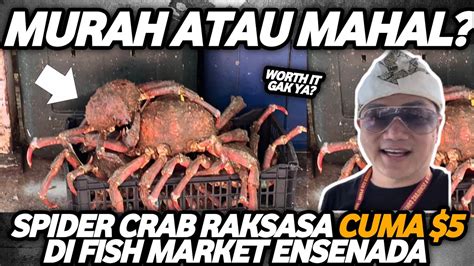 Gila Spider Crab Raksasa Cuma Di Fish Market Ensenada Youtube