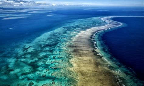 Saving our Pacific coral reefs, together. | Pacific Environment