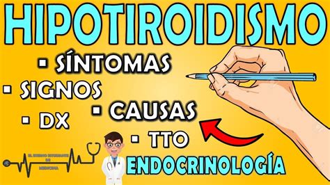 Hipotiroidismo Todo Lo Que Debes Saber S Ntomas Y Signos Causas