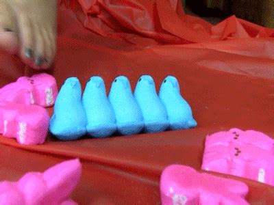 The Best BBW SSBBWS BBW Smashes Marshmallow Treats