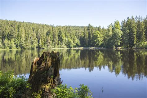 Hinterzarten Schwarzwald Tourismus Gmbh