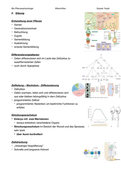 Pflanzenphys 2 Wintersemester Dozent Fauth Pflanzenphysiologie