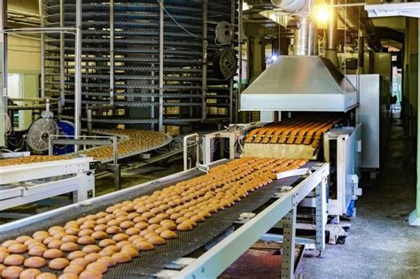 Confectionery Factory Production Line Of Baking Cookies Stock Photo