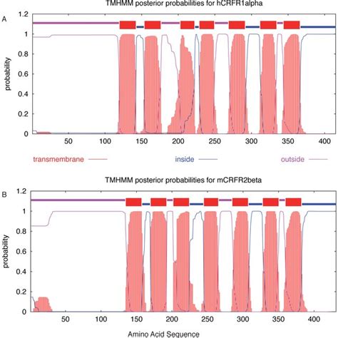 Transmembrane Topology Models Applied To Hcrfr1 A And Mcrfr2 B Tmhmm