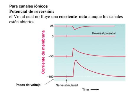 01 Bioelectricidad Y Potencial De Membrana PPT