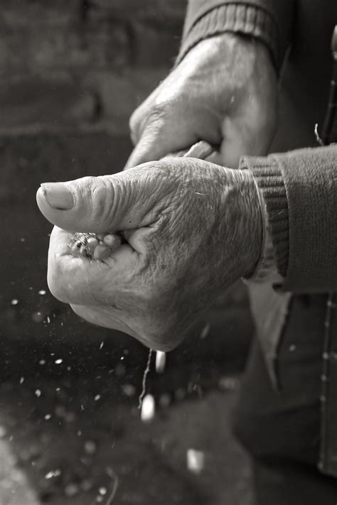 Working Hands By Vevac On Deviantart