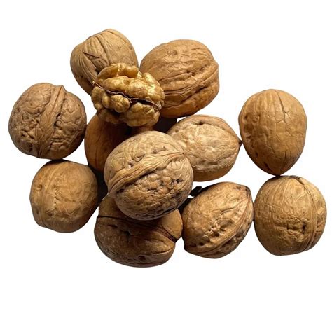 Kashmiri Shell Walnuts Packaging Type Loose At Rs Kilogram In